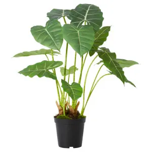 Elme Potted Artificial Alocasia Frydek, 70cm by Elme Living, a Plants for sale on Style Sourcebook