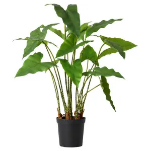 Elme Potted Artificial Zebra Plant, 110cm by Elme Living, a Plants for sale on Style Sourcebook