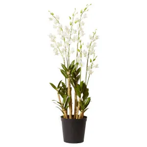 Elme Potted Artificial Dendrobium Orchid, 131cm by Elme Living, a Plants for sale on Style Sourcebook