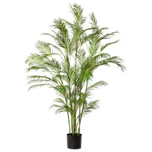 Elme Potted Artificial Phoenix Palm, 180cm by Elme Living, a Plants for sale on Style Sourcebook