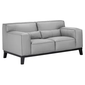 Hawthorne Leather Sofa, 2 Seater, Pewter by Woodland Furniture, a Sofas for sale on Style Sourcebook