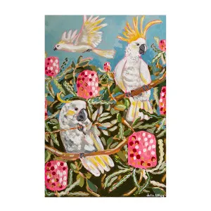 Banksia Birds , By Julia Abbey by Gioia Wall Art, a Prints for sale on Style Sourcebook