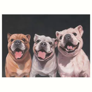 "Triad of Bulldog Pups" Stretched Canvas Wall Art Print, 70cm by PNC Imports, a Artwork & Wall Decor for sale on Style Sourcebook