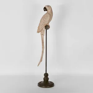 Amabela Parrot Large Natural by Florabelle Living, a Statues & Ornaments for sale on Style Sourcebook