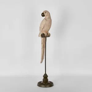 Amabela Parrot Medium Natural by Florabelle Living, a Statues & Ornaments for sale on Style Sourcebook