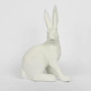 Henry Hare Sitting Large White by Florabelle Living, a Statues & Ornaments for sale on Style Sourcebook