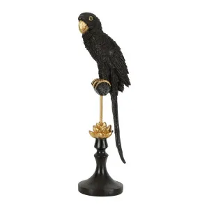 Alexa Parrot Sculpture Black by Florabelle Living, a Statues & Ornaments for sale on Style Sourcebook