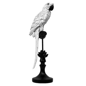 Alexa Parrot Sculpture White by Florabelle Living, a Statues & Ornaments for sale on Style Sourcebook