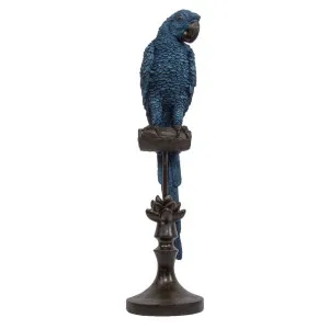 Alexa Parrot Blue by Florabelle Living, a Statues & Ornaments for sale on Style Sourcebook