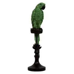 Alexa Parrot Dark Green by Florabelle Living, a Statues & Ornaments for sale on Style Sourcebook