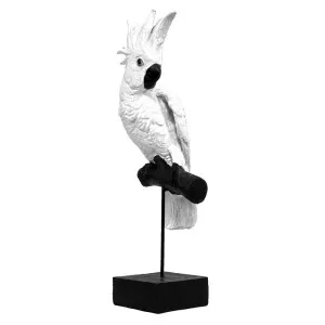 Amon Sculpture White by Florabelle Living, a Statues & Ornaments for sale on Style Sourcebook
