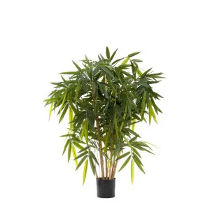 New Bamboo Tree 1M by Florabelle Living, a Plants for sale on Style Sourcebook