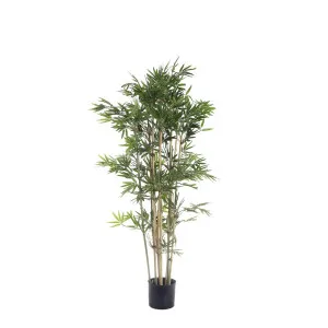 Japanese Bamboo Tree 1.2M by Florabelle Living, a Plants for sale on Style Sourcebook
