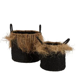 Havana Seagrass Jute Basket Set Of 2 Black by Florabelle Living, a Baskets & Boxes for sale on Style Sourcebook