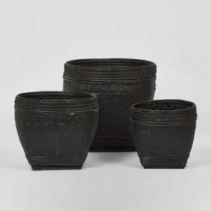 Paume Rattan Planter Set 3 Black by Florabelle Living, a Baskets & Boxes for sale on Style Sourcebook