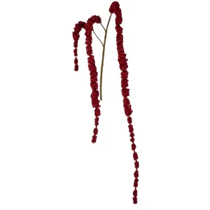 Amaranthus Hanging Spray 1.45M Red by Florabelle Living, a Plants for sale on Style Sourcebook
