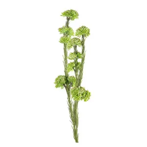 Sedum Stem 55Cm Green by Florabelle Living, a Plants for sale on Style Sourcebook