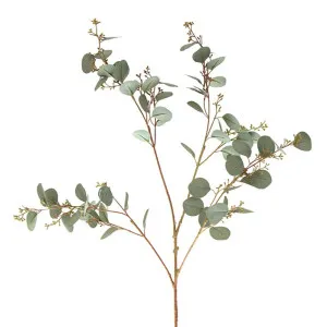 Eucalyptus Seed Spray 1.2M by Florabelle Living, a Plants for sale on Style Sourcebook