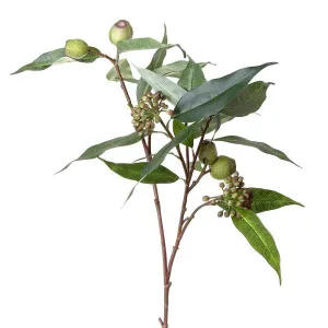 Gumnut Eucalyptus Seed Spray 75Cm Green by Florabelle Living, a Plants for sale on Style Sourcebook