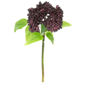 Berry Stem 43Cm Purple by Florabelle Living, a Plants for sale on Style Sourcebook