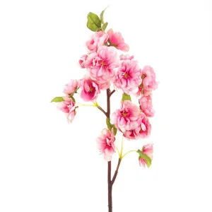 Peach Blossom 57Cm Pink by Florabelle Living, a Plants for sale on Style Sourcebook