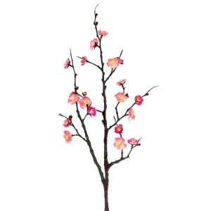 Plum Blossom Spray 85Cm Pink by Florabelle Living, a Plants for sale on Style Sourcebook
