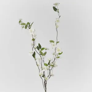 Blossom Spray White 100Cm by Florabelle Living, a Plants for sale on Style Sourcebook