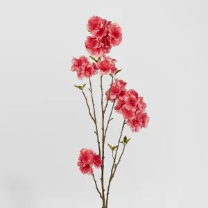 Peach Blossom Spray 118Cm Light Pink by Florabelle Living, a Plants for sale on Style Sourcebook