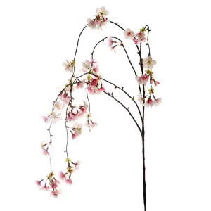 Cherry Blossom Hanging Spray 1.3M Pink by Florabelle Living, a Plants for sale on Style Sourcebook