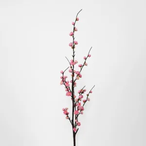 Japonica Blossom Stem 120Cm Pink by Florabelle Living, a Plants for sale on Style Sourcebook