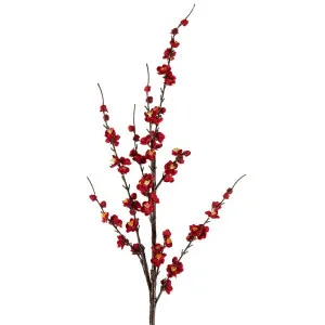 Japonica Blossom Stem 120Cm Red by Florabelle Living, a Plants for sale on Style Sourcebook