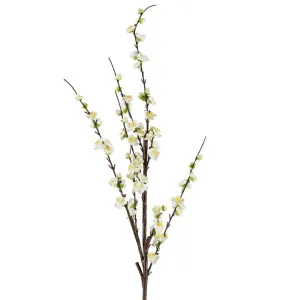 Japonica Blossom Stem 120Cm White by Florabelle Living, a Plants for sale on Style Sourcebook