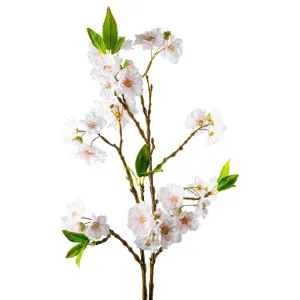 Blossom Spray 78Cm Light Pink by Florabelle Living, a Plants for sale on Style Sourcebook