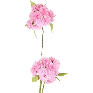 Cherry Blossom Spray 72Cm Light Pink by Florabelle Living, a Plants for sale on Style Sourcebook