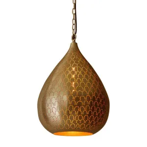 Taipan Ceiling Pendant Brass by Florabelle Living, a Pendant Lighting for sale on Style Sourcebook