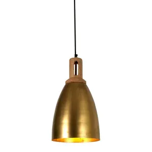 Lewis Ceiling Pendant Antique Brass by Florabelle Living, a Pendant Lighting for sale on Style Sourcebook