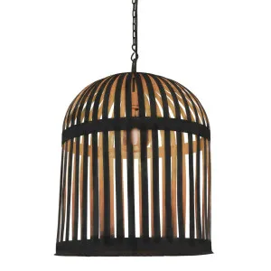 Esch Cage Ceiling Pendant Black by Florabelle Living, a Pendant Lighting for sale on Style Sourcebook