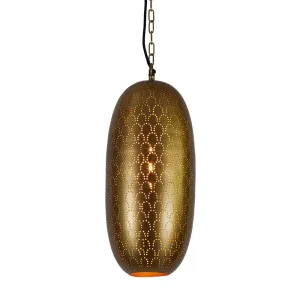 Anaconda Ceiling Pendant Light Brass by Florabelle Living, a Pendant Lighting for sale on Style Sourcebook