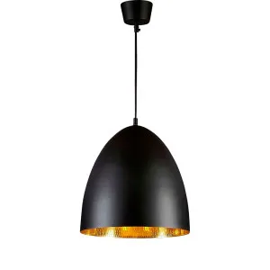 Egg Ceiling Pendant Black And Brass by Florabelle Living, a Pendant Lighting for sale on Style Sourcebook