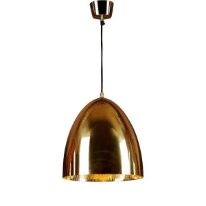 Egg Ceiling Pendant Brass by Florabelle Living, a Pendant Lighting for sale on Style Sourcebook