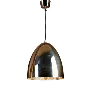 Egg Ceiling Pendant Silver by Florabelle Living, a Pendant Lighting for sale on Style Sourcebook