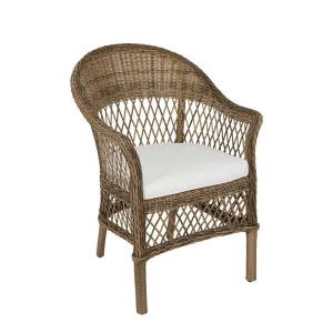 Marco Aluminium Synthetic Wicker Outdoor Chair Natural by Florabelle Living, a Chairs for sale on Style Sourcebook