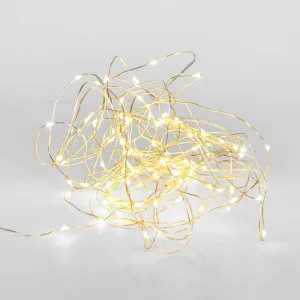 10M Fairy Lights 100 Lights Plug In by Florabelle Living, a Christmas for sale on Style Sourcebook