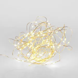 10M Led Fairy Lights 100 Lights Battery Operated by Florabelle Living, a Christmas for sale on Style Sourcebook