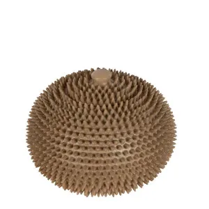 Spike Bowl Giant Natural by Florabelle Living, a Vases & Jars for sale on Style Sourcebook