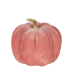 Velvet Pumpkin Small Pink by Florabelle Living, a Christmas for sale on Style Sourcebook