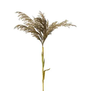 Grey Pampas Spray Stem With Leaves by Florabelle Living, a Plants for sale on Style Sourcebook