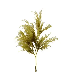 Oversized Pampas Spray Stem Moss Green by Florabelle Living, a Plants for sale on Style Sourcebook