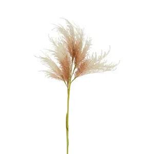 Oversized Pampas Spray Stem Natural by Florabelle Living, a Plants for sale on Style Sourcebook