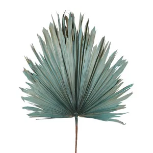 Preserved Palm Leaf Blue Large by Florabelle Living, a Plants for sale on Style Sourcebook